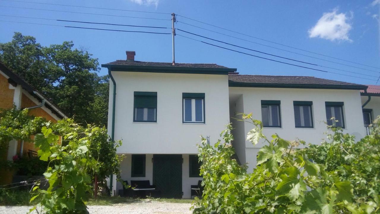 Ferienhaus Szapary II Eisenberg an der Pinka Экстерьер фото