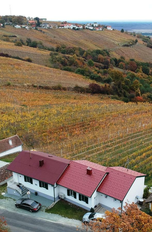 Ferienhaus Szapary II Eisenberg an der Pinka Экстерьер фото